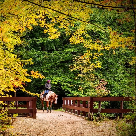 Meet your Posher, Kelly - Picture 3 of 7